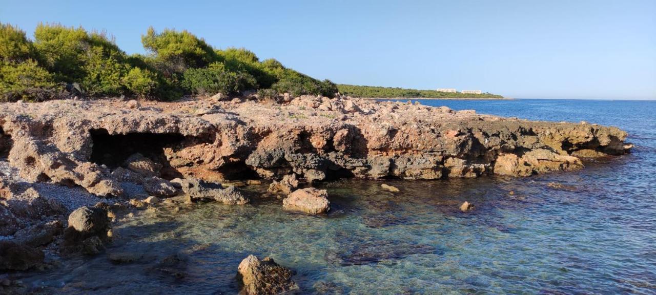 Apartamento L 'Altina A 40 Metros De La Playa Alcossebre المظهر الخارجي الصورة